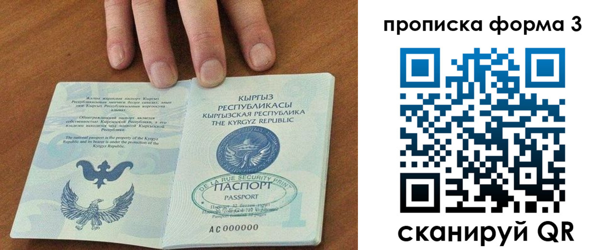 прописка 2025 в Заинске